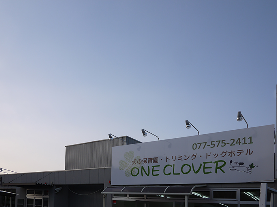 ONE CLOVER